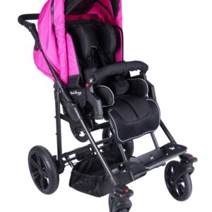 Modi Buggy